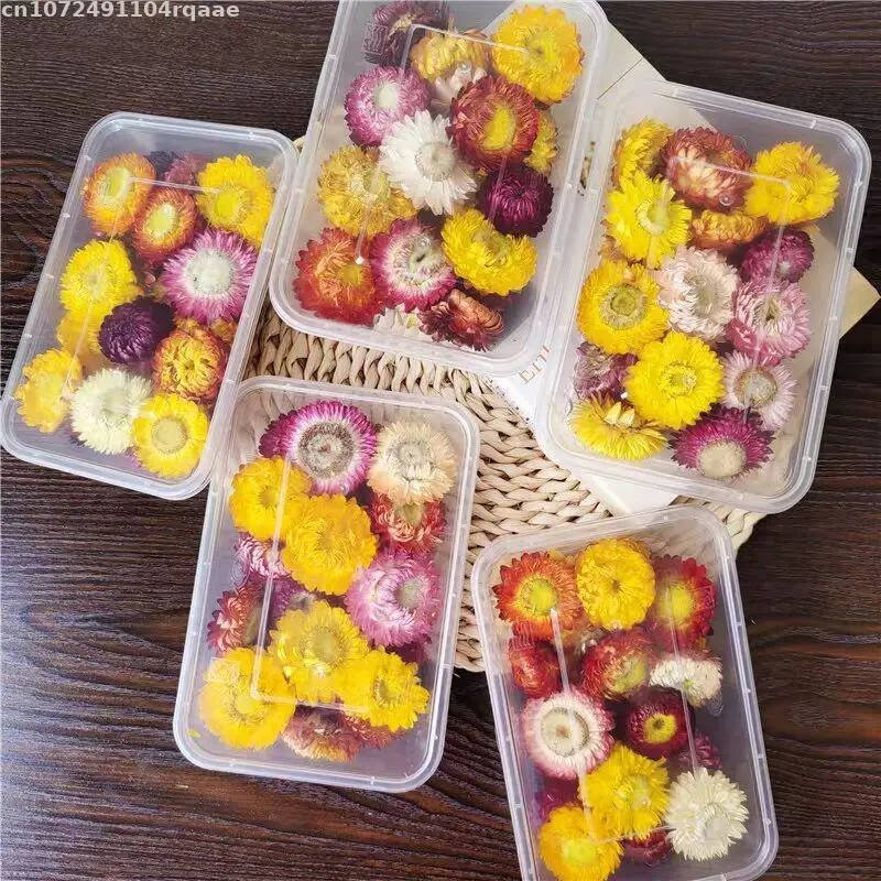 100% Natural Dried Flowers Bra - Candle Making Material Wholesale 评论和价格